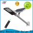 SRS bifacial solar street light in village specification for flagpole