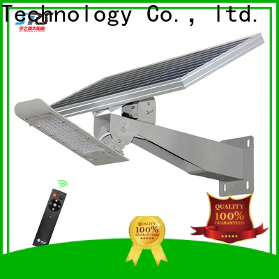 SRS Latest solar light manufacturer supply for garden