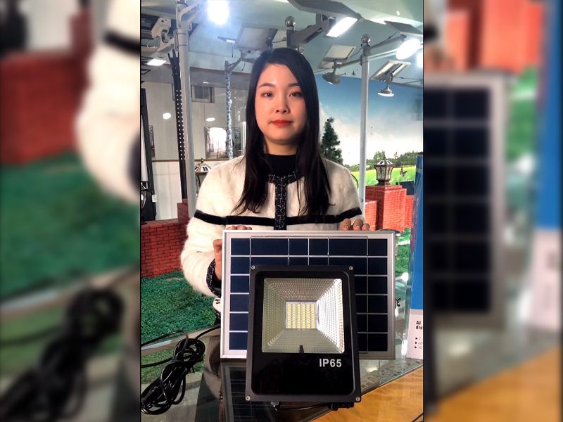 60W High Brightness Solar Flood Light with 5m Cable