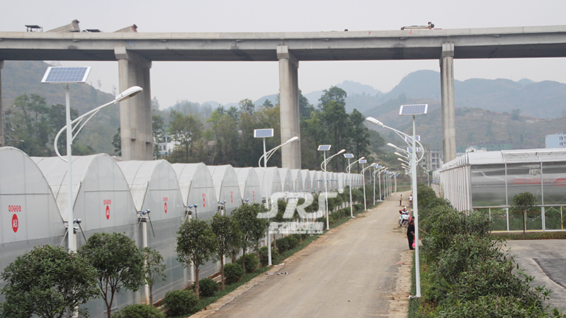 solar street lamp